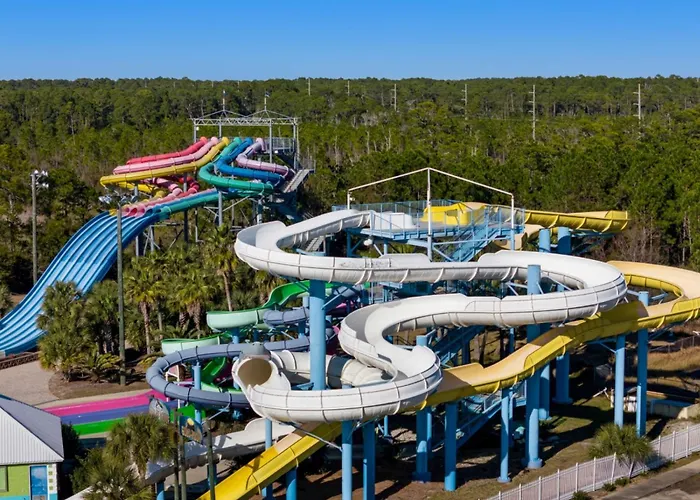 Paradise Found Pools Dogs Gulf Shores
