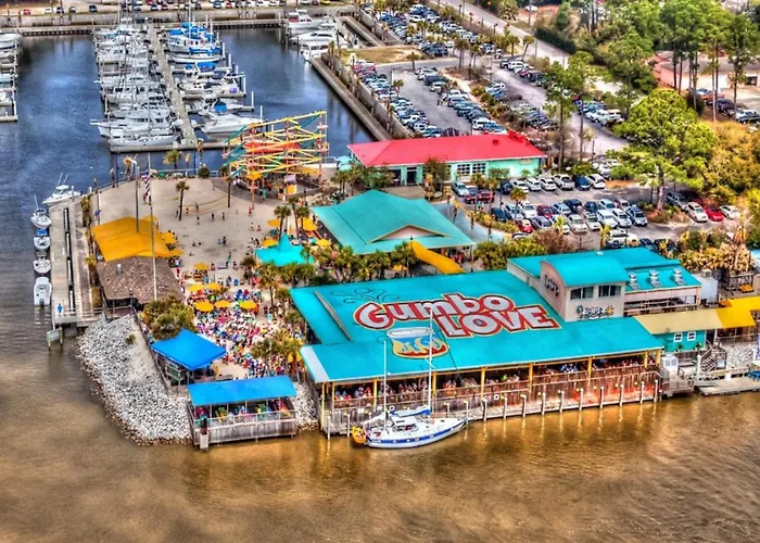 Paradise Found Pools Dogs Gulf Shores