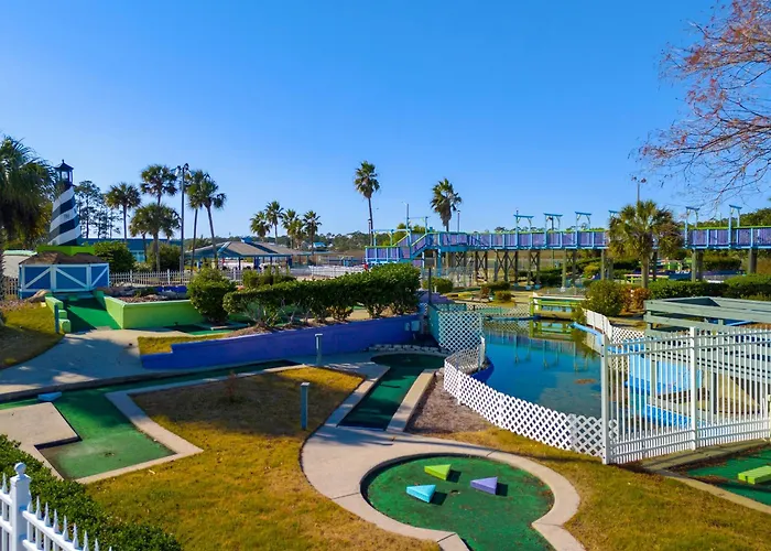 Paradise Found Pools Dogs Gulf Shores