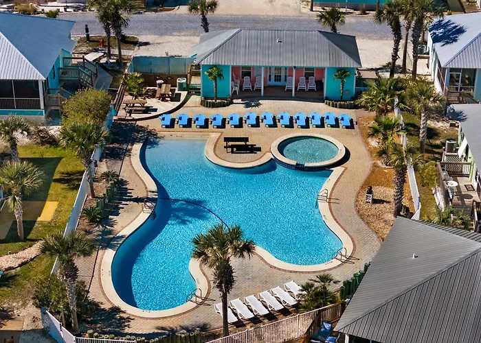 Paradise Found Pools Dogs